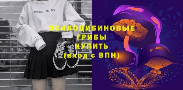соль ск Нея