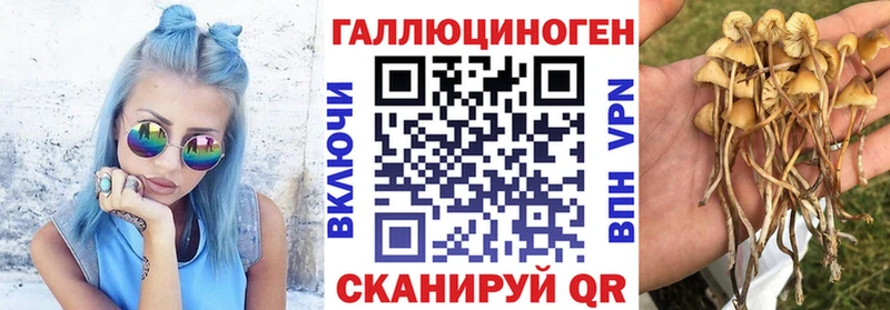 кракен   Шумиха  Псилоцибиновые грибы прущие грибы 